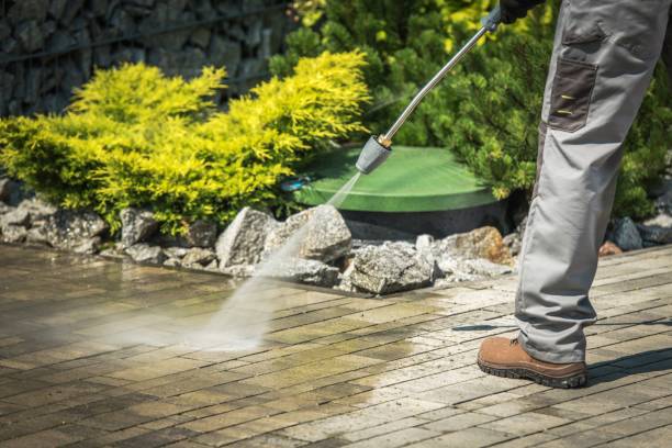 Best Solar Panel Cleaning  in Magnolia, NC