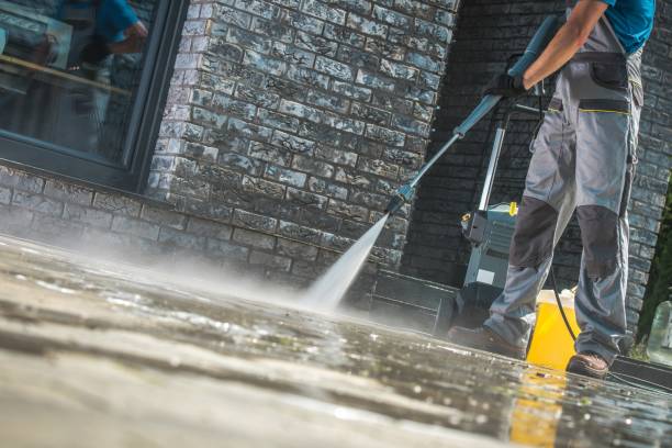 Best Gutter Cleaning  in Magnolia, NC