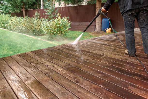 Best Residential House Exterior Washing  in Magnolia, NC