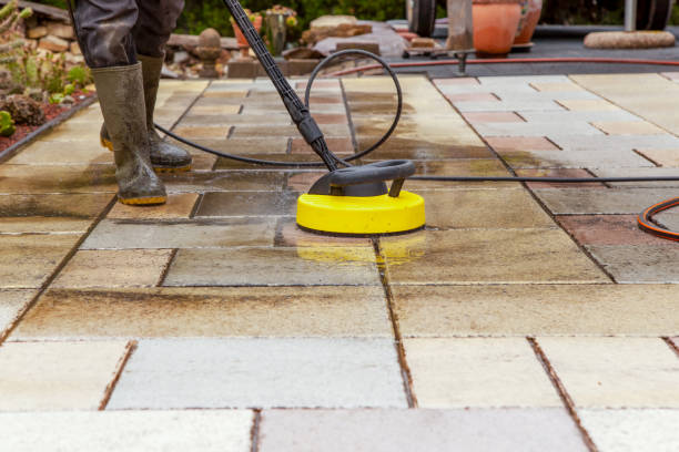 Best Animal Enclosure Cleaning  in Magnolia, NC