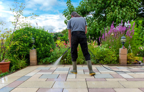 Best Parking Lot and Garage Cleaning  in Magnolia, NC