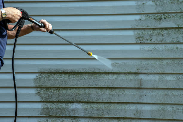 Best Building Exterior Washing  in Magnolia, NC