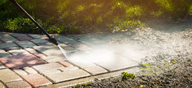 Best Sidewalk and Walkway Cleaning  in Magnolia, NC