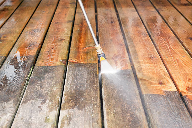 Animal Enclosure Cleaning in Magnolia, NC